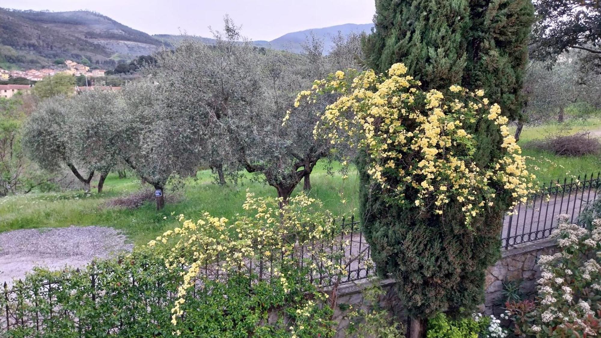 Villa Salviati Prato  Buitenkant foto